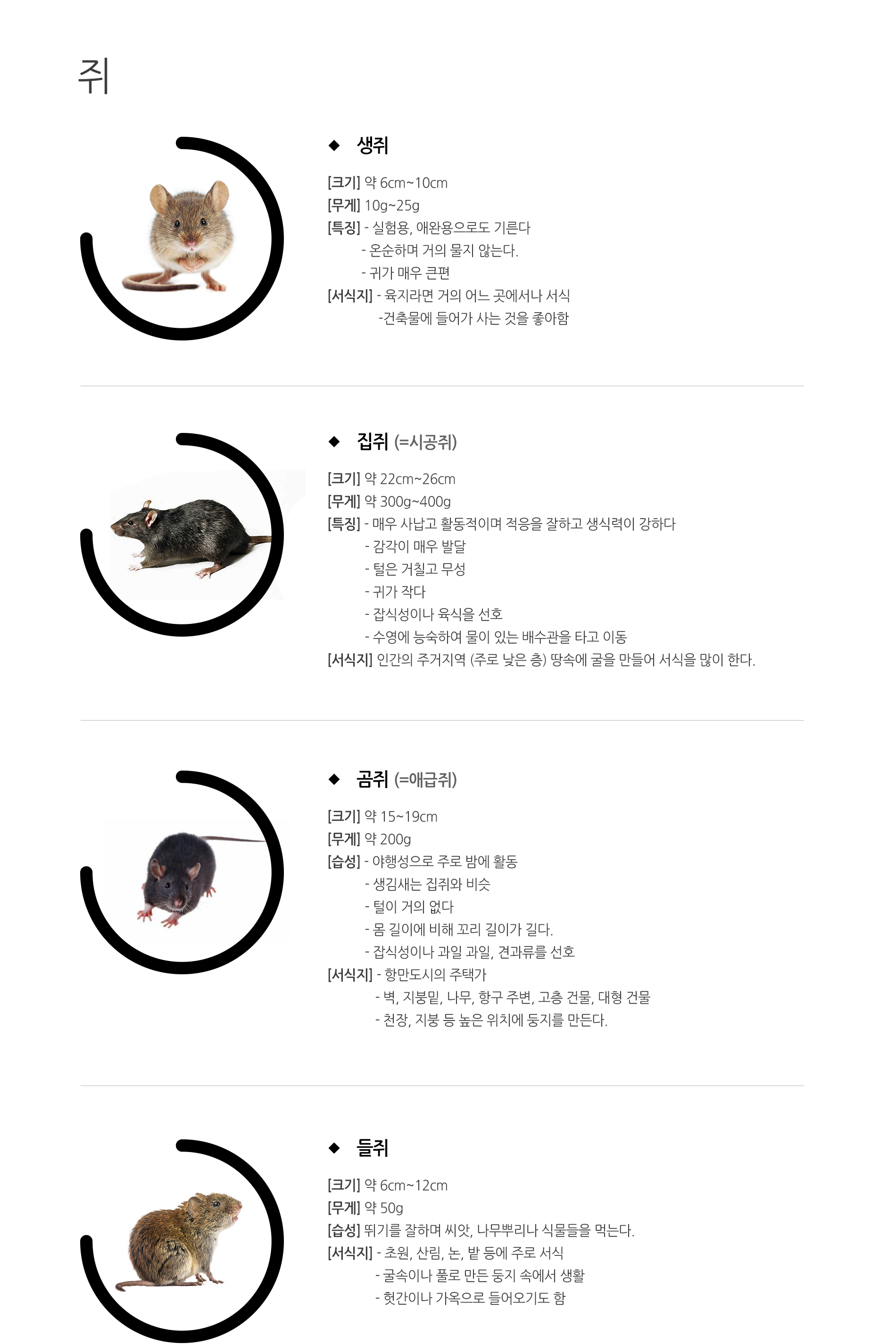 비래해충 및 설치류 방제 범위 (파리, 모기, 쥐 등)